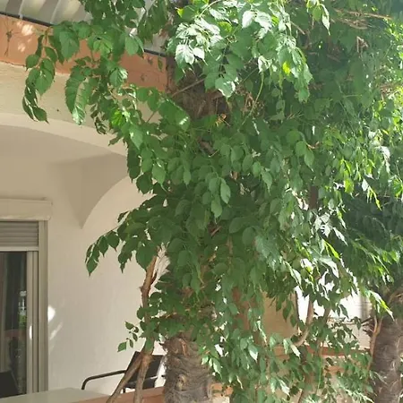 Kore ויר